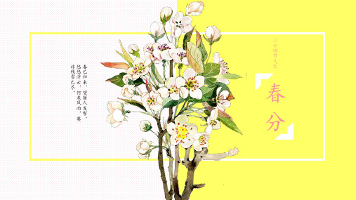 水彩花卉背景的春分主题PPT模板2套