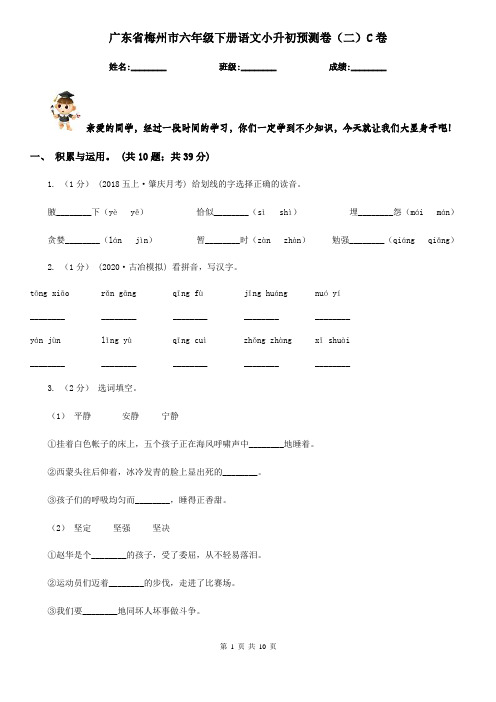 广东省梅州市六年级下册语文小升初预测卷(二)C卷