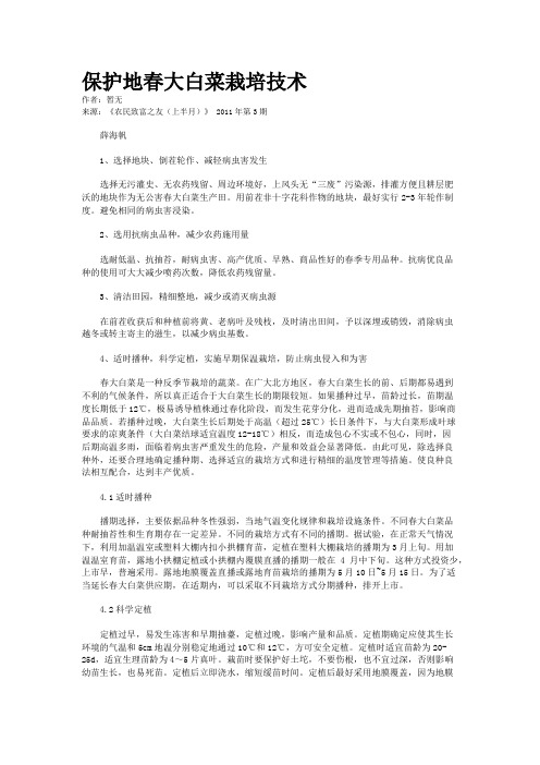保护地春大白菜栽培技术