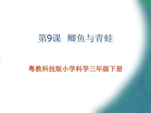 9鲫鱼与青蛙