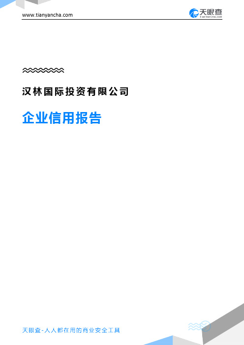 汉林国际投资有限公司企业信用报告-天眼查
