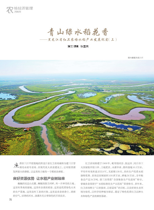青山绿水稻花香——黑龙江省红卫农场水稻产业发展纪实(上)