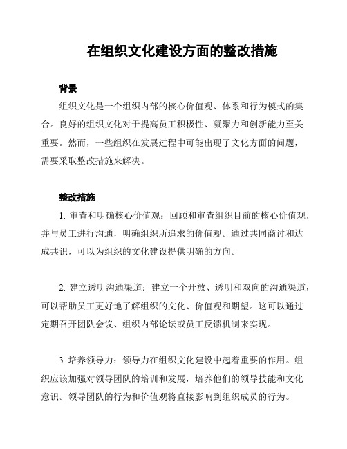 在组织文化建设方面的整改措施