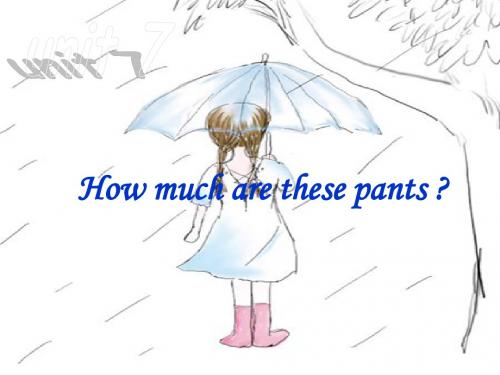 Unit7Howmucharethesepants_说课课件.ppt