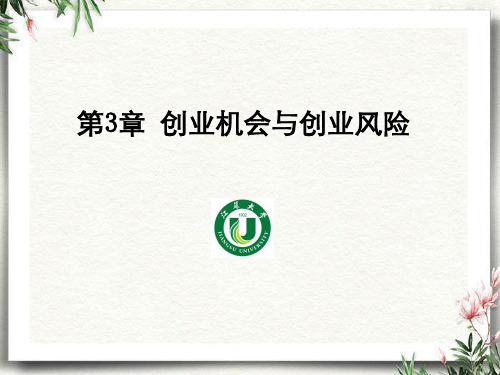 第3章创业机会与创业风险