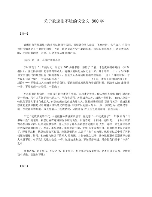 关于欲速则不达的议论文800字