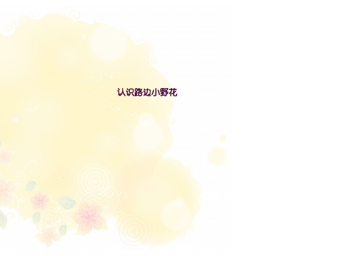 认识路边的小野花ppt课件