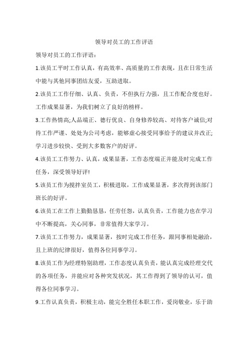 领导对员工的工作评语