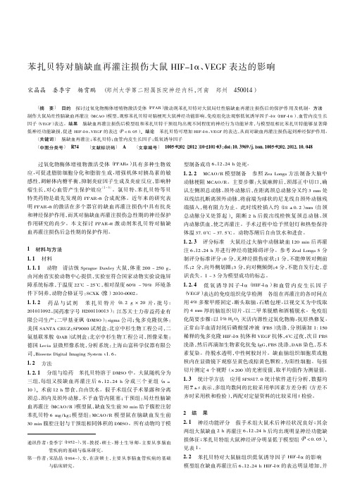 苯扎贝特对脑缺血再灌注损伤大鼠HIF-1α、VEGF表达的影响