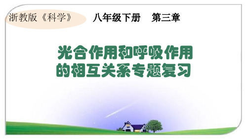 浙教版科学《光合作用》课件ppt2
