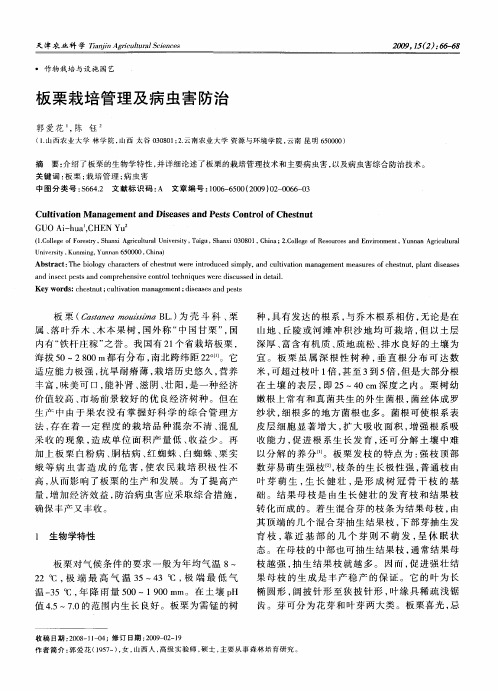 板栗栽培管理及病虫害防治