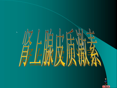 皮质类固醇药物.ppt
