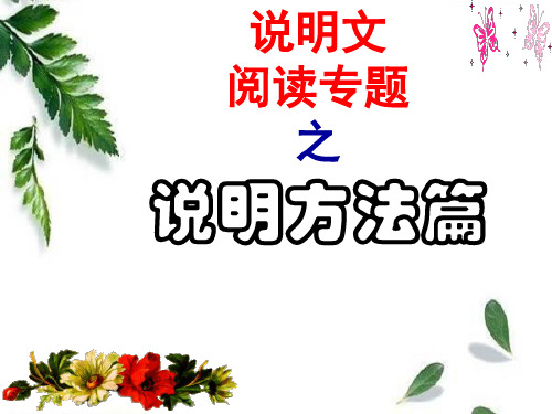公开课：说明方法阅读