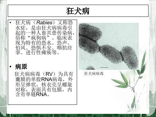 动物植检疫概论_PPT幻灯片