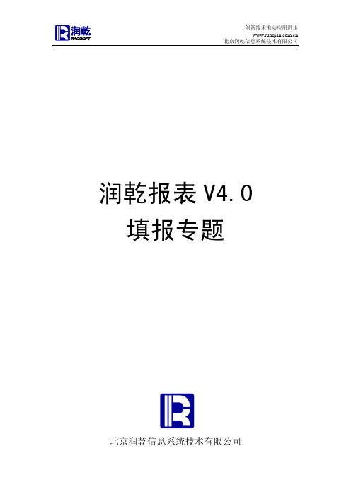 润乾报表4.0填报报表制作方法专题