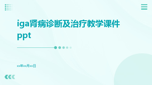 IgA肾病诊断及治疗教学课件ppt