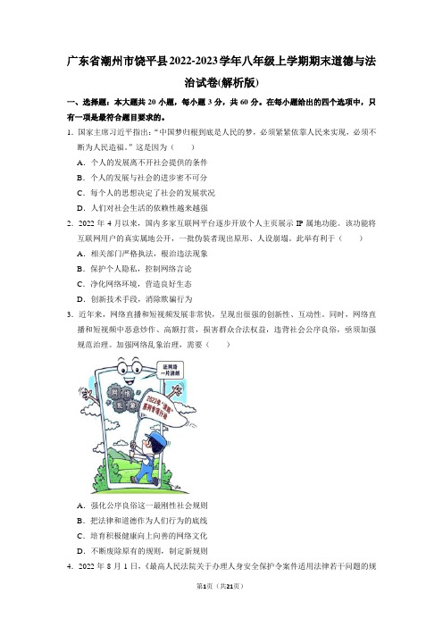 广东省潮州市饶平县2022-2023学年八年级上学期期末道德与法治试题