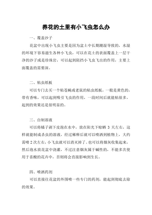 养花的土里有小飞虫怎么办