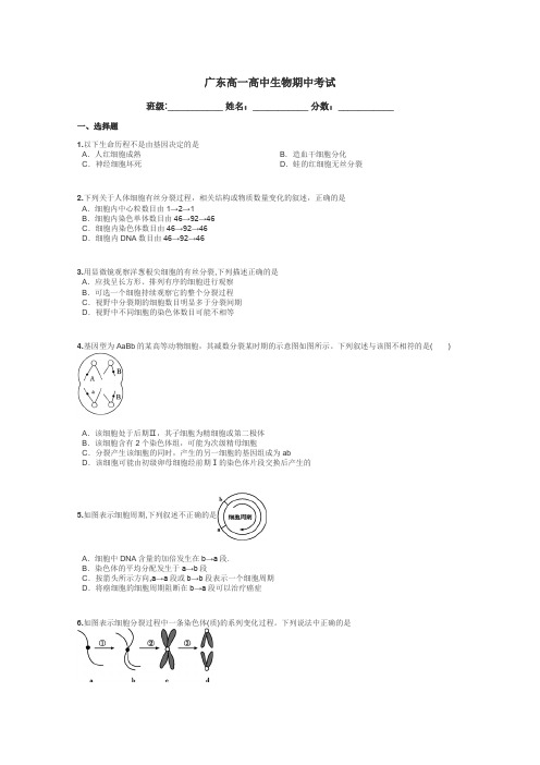 广东高一高中生物期中考试带答案解析
