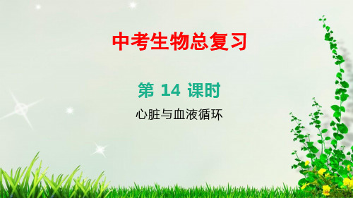 北京中考生物总复习——第14课时 心脏与血液循环