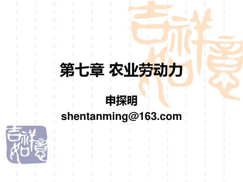 农业经济学第七章农业劳动力