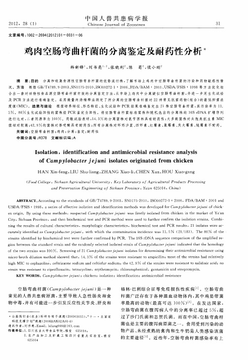 鸡肉空肠弯曲杆菌的分离鉴定及耐药性分析