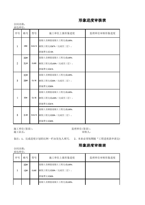 形象进度审核表