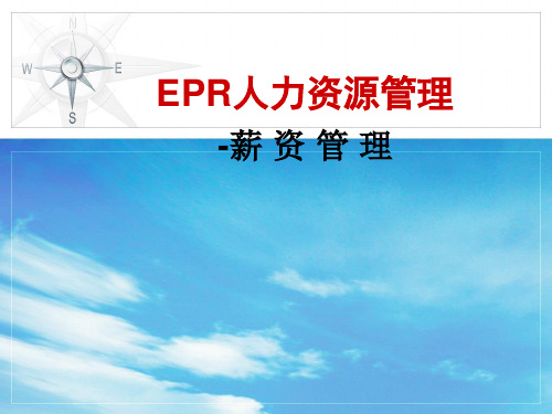 ERP人力资源管理薪资管理