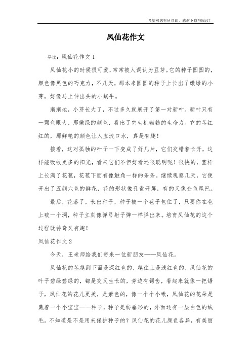 凤仙花作文