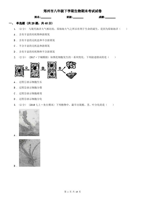 郑州市八年级下学期生物期末考试试卷