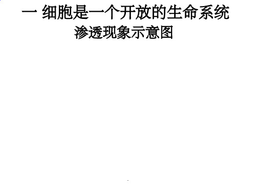 质壁分离实验