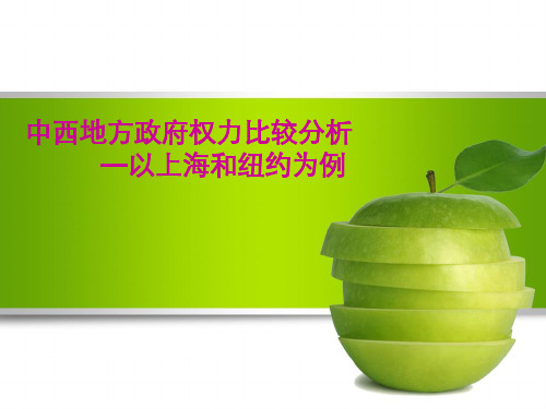 中美地方政府权力比较分析