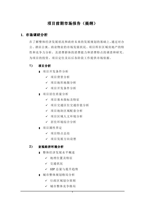 项目定位报告提纲