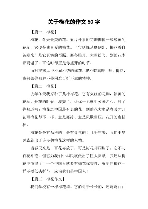 关于梅花的作文50字