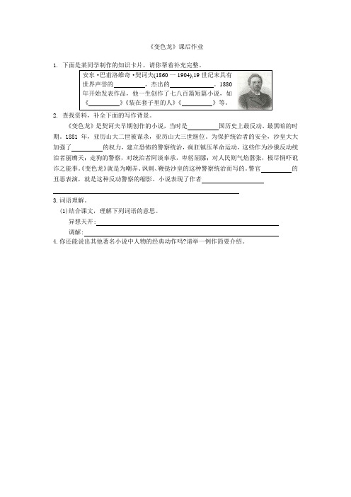 变色龙课后作业