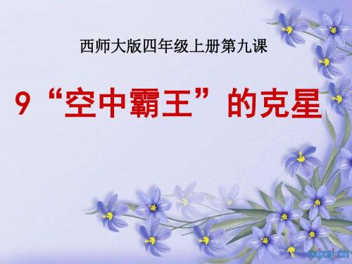 《“空中霸王”的克星》PPT课件2