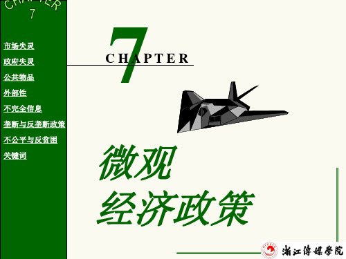 第7章 微观经济政策