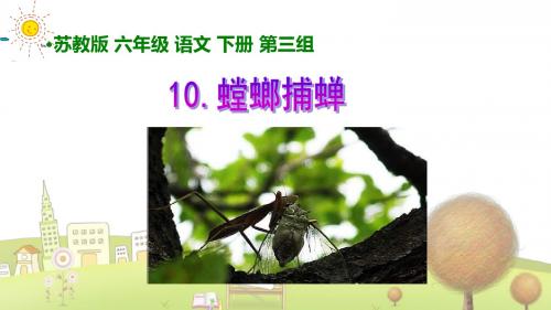 苏教小学语文六年级下册《10螳螂捕蝉》PPT课件 (3)
