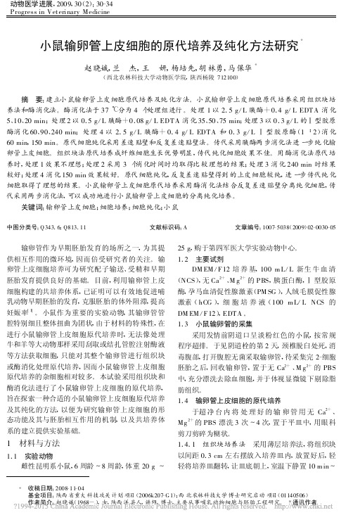 小鼠输卵管上皮细胞的原代培养及纯化方法研究_赵晓娥