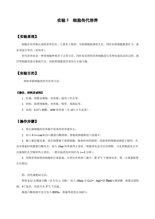 实验五细胞传代培养6