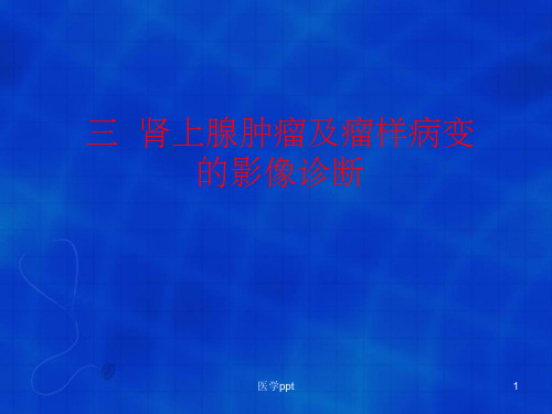 肾上腺的影像诊断第二节