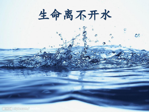三年级上册科学课件-《3.1 生命离不开水》 苏教版(共24张PPT)