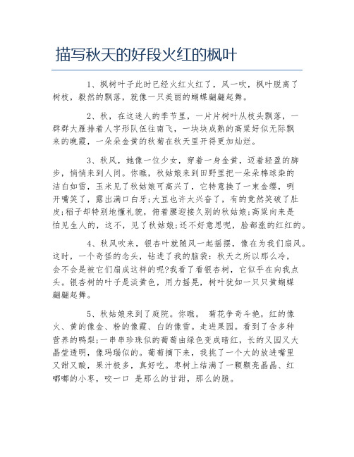 描写秋天的好段火红的枫叶