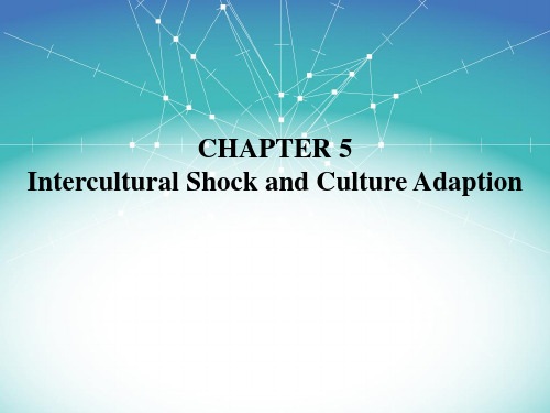 跨文化商务沟通 Chapter 5