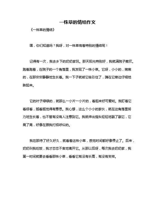 一株草的情结作文