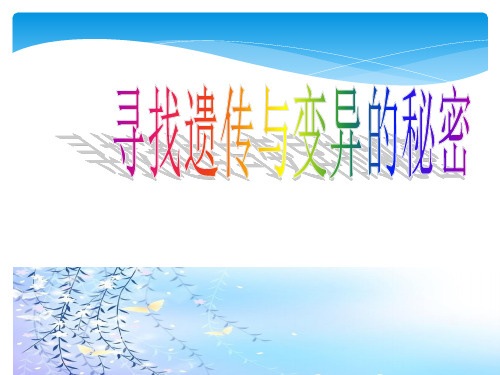 六年级下册科学课件-2.3 寻找遗传与变异的秘密(1)-苏教版