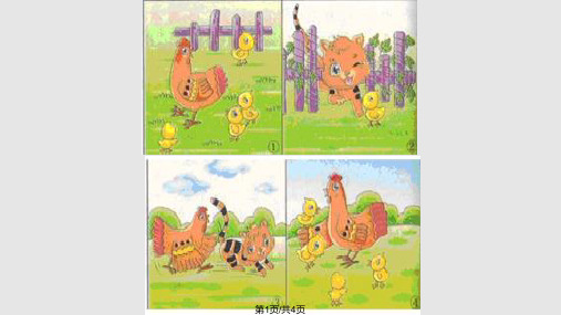 勇敢的鸡妈妈——看图写话PPT课件