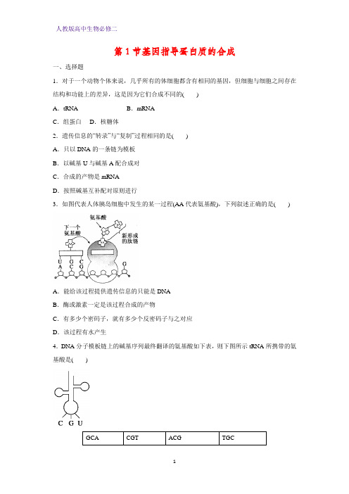高中生物必修2课时作业7：4.1基因指导蛋白质的合成
