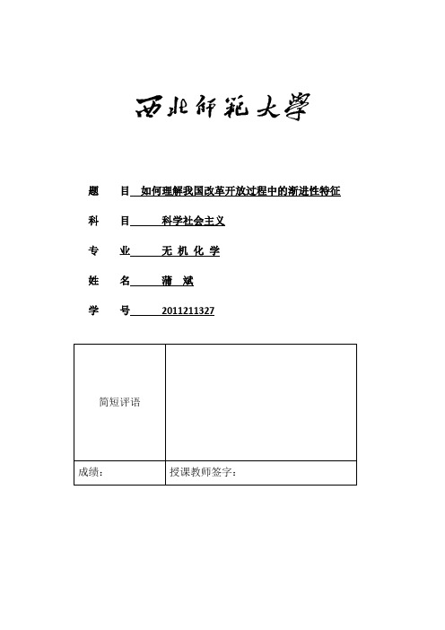 如何理解我国改革开放过程中的渐渐性特征