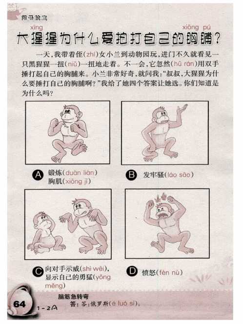 大猩猩为什么爱拍打自己的胸脯？